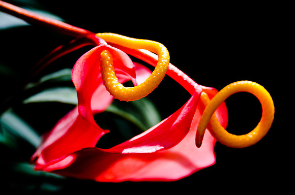_DSC5677
