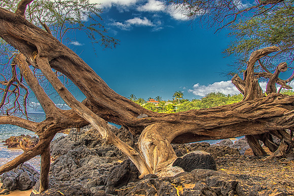 Makena Beach-21