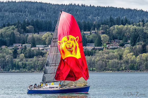 04-06 Tulip Regatta Part 1 of 3--117