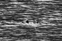 07-24 A July Day at SeaFarers-6