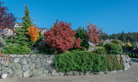 10-17 Local Fall Colors-0036