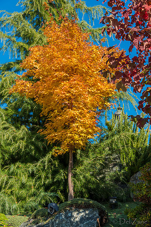10-17 Local Fall Colors-0038