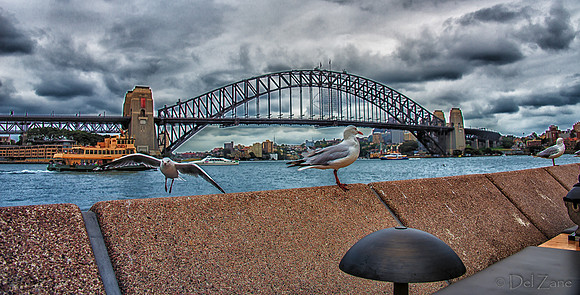 Up Close and Personal at the Sydney Opera House-
