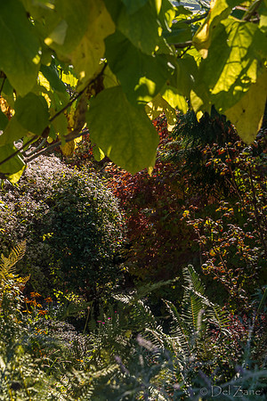 10-17 Local Fall Colors-0045