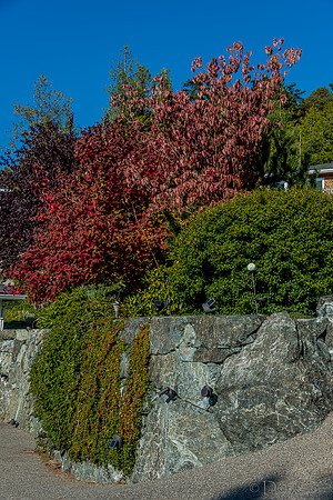 10-17 Local Fall Colors-0046