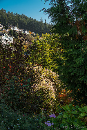 10-17 Local Fall Colors-0043