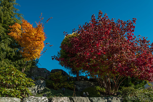 10-17 Local Fall Colors-0041