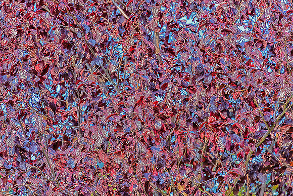 10-12 D800 28-300--13